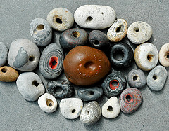 3468383724_7c2bedeb51_m