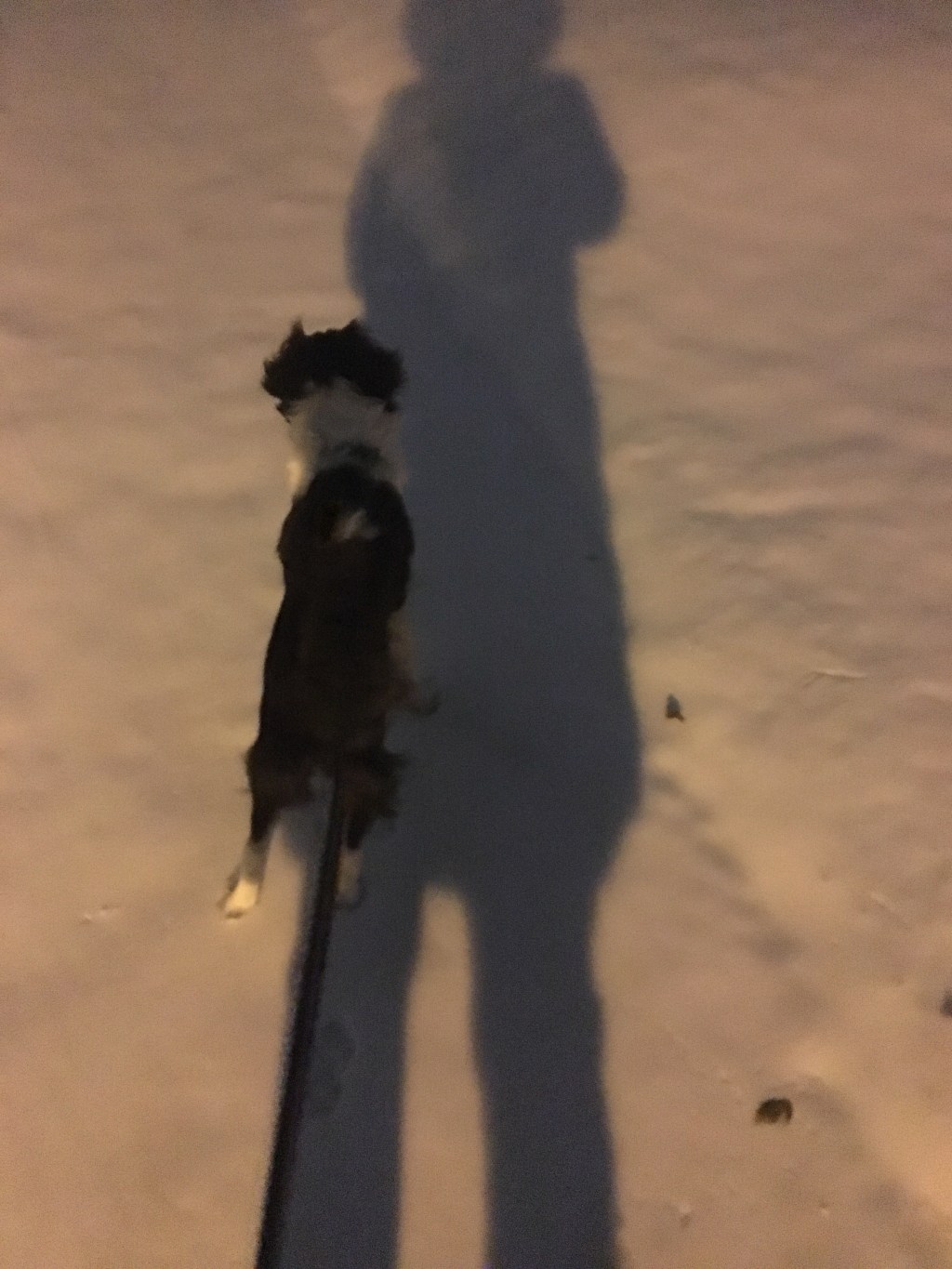 The Word of the Day is Snow